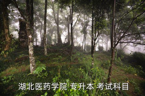 湖北臨床專(zhuān)升本考試,湖北普升本考試需要考什么科目?