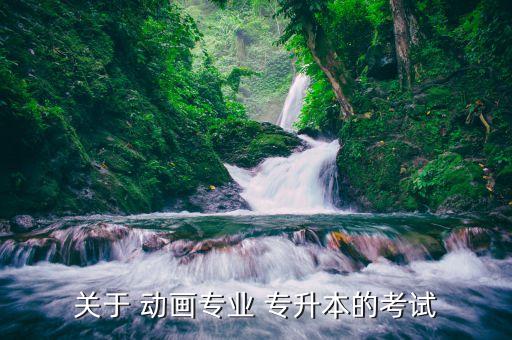 動(dòng)畫(huà)設(shè)計(jì)專(zhuān)升本對(duì)口,東南大學(xué)動(dòng)畫(huà)系專(zhuān)升本對(duì)口招生廣告宣傳