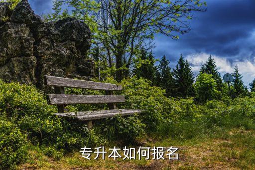 專升本報(bào)名資格,自學(xué)專升本報(bào)名流程:網(wǎng)上報(bào)名和現(xiàn)場(chǎng)確認(rèn)報(bào)名