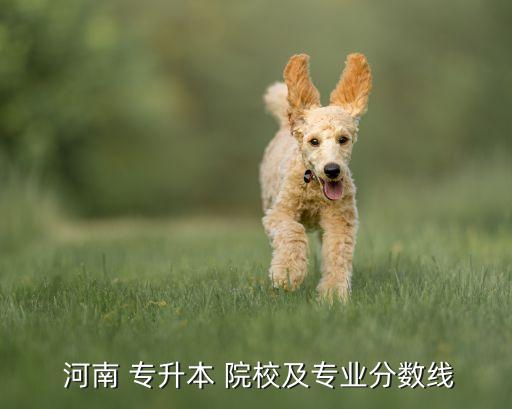 河南專升本錄取院校,河南工程學(xué)院河南專升本最低分182分