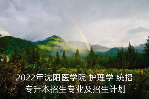 2022年沈陽醫(yī)學(xué)院 護(hù)理學(xué) 統(tǒng)招 專升本招生專業(yè)及招生計(jì)劃