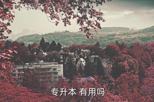 惠眾專升本針對什么樣的學(xué)生有用,我是10歲專升本考生