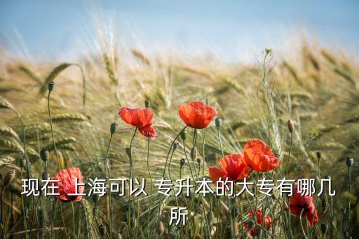 現(xiàn)在 上海可以 專升本的大專有哪幾所