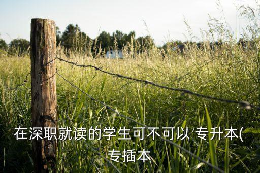 在深職就讀的學生可不可以 專升本(專插本