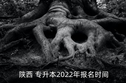 陜西專升本網(wǎng)站,陜西專升本報(bào)名系統(tǒng)開放報(bào)名
