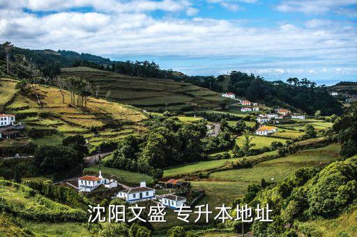  沈陽文盛 專升本地址
