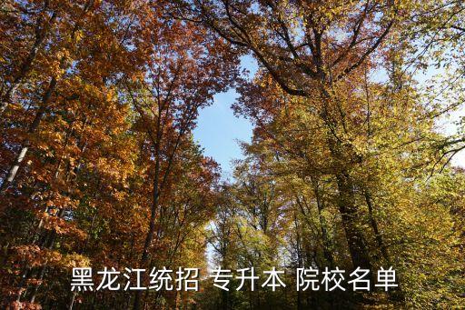 2015黑龍江專升本院校,黑龍江有很多學(xué)校可以專升本