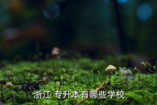  浙江 專升本有哪些學(xué)校