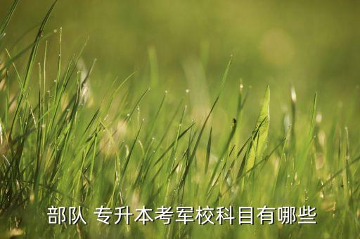  部隊 專升本考軍?？颇坑心男? class=
