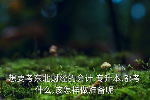 想要考東北財經(jīng)的會計 專升本,都考什么,該怎樣做準(zhǔn)備呢