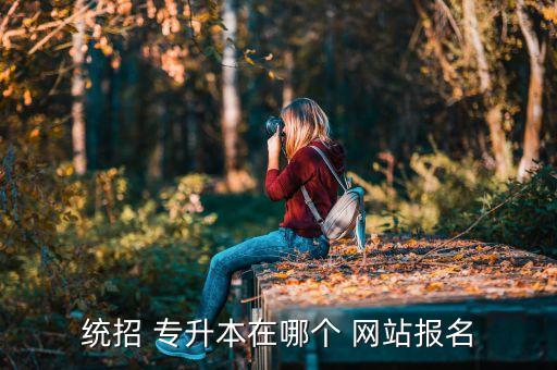 統(tǒng)招 專升本在哪個(gè) 網(wǎng)站報(bào)名