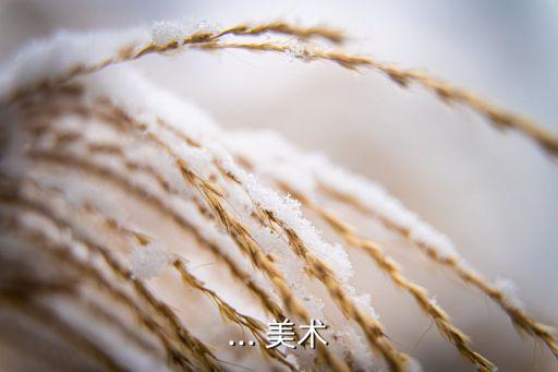 美術專升本好嗎,一年交一萬多學費什么都學不到專升本?