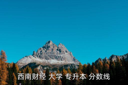 成都大學專升本分數(shù)線,成都大學歷史文化名城成都學院前身