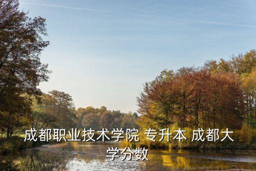  成都職業(yè)技術學院 專升本 成都大學分數(shù)