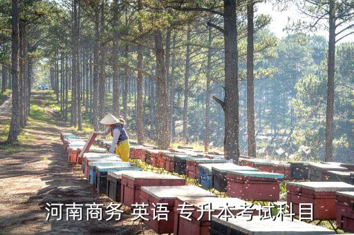  河南商務(wù) 英語 專升本考試科目