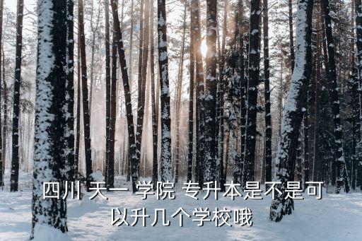  四川 天一 學(xué)院 專升本是不是可以升幾個(gè)學(xué)校哦