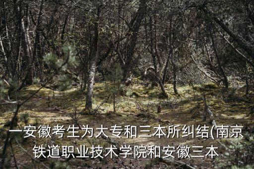 一安徽考生為大專(zhuān)和三本所糾結(jié)(南京鐵道職業(yè)技術(shù)學(xué)院和安徽三本