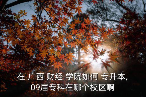 在 廣西 財經(jīng) 學(xué)院如何 專升本,09屆?？圃谀膫€校區(qū)啊