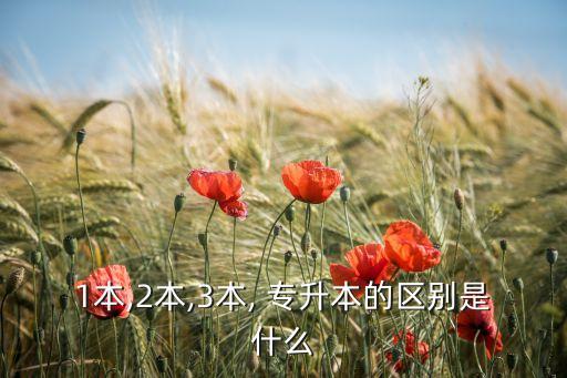 專升本1 3,山東省將取消1 3校內(nèi)專升本