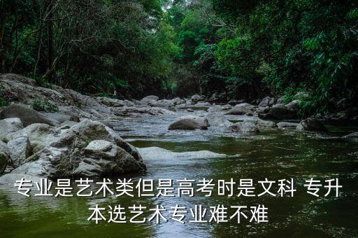 專業(yè)是藝術(shù)類但是高考時(shí)是文科 專升本選藝術(shù)專業(yè)難不難