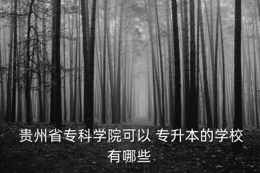  貴州省?？茖W(xué)院可以 專升本的學(xué)校有哪些
