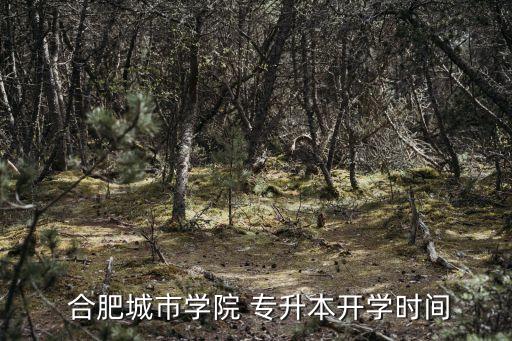  合肥城市學(xué)院 專(zhuān)升本開(kāi)學(xué)時(shí)間