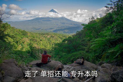走了 單招還能 專升本嗎