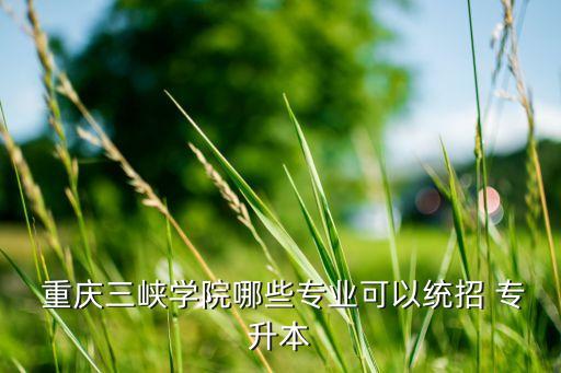  重慶三峽學院哪些專業(yè)可以統(tǒng)招 專升本