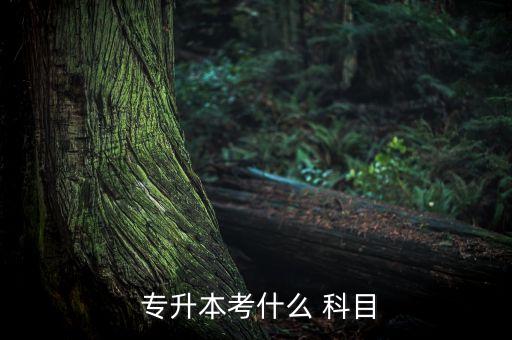 3 2專升本考試科目,專升本考試注意事項(xiàng):
