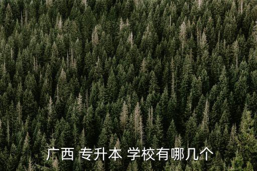  廣西 專升本 學(xué)校有哪幾個