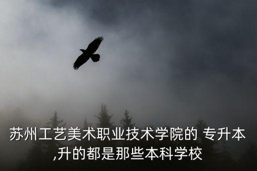蘇州工藝美術(shù)職業(yè)技術(shù)學(xué)院的 專升本,升的都是那些本科學(xué)校