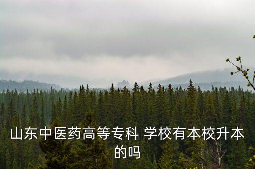 山東中醫(yī)藥高等專科 學(xué)校有本校升本的嗎