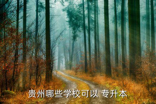 貴州哪些學(xué)?？梢?專(zhuān)升本