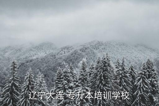 遼寧大連 專(zhuān)升本培訓(xùn)學(xué)校