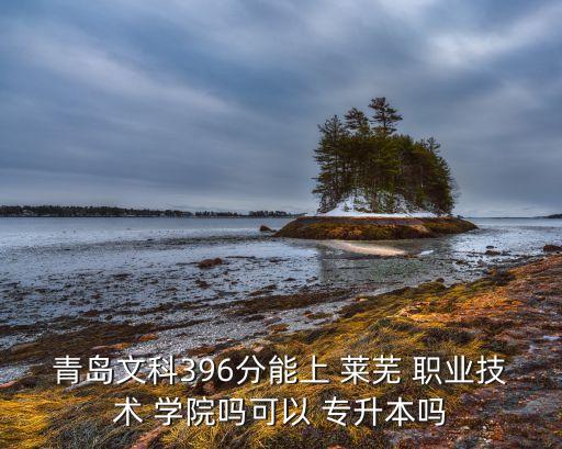 青島文科396分能上 萊蕪 職業(yè)技術(shù) 學(xué)院?jiǎn)峥梢?專(zhuān)升本嗎