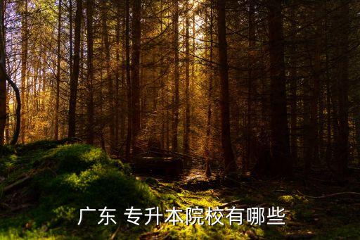  廣東 專(zhuān)升本院校有哪些