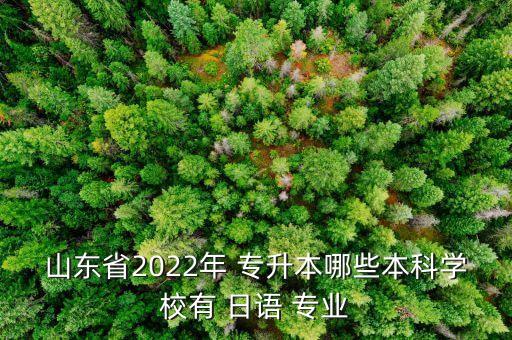 山東省2022年 專升本哪些本科學(xué)校有 日語 專業(yè)