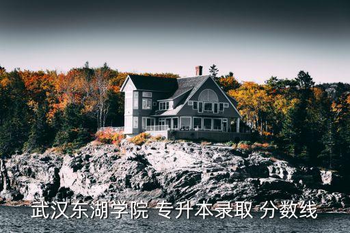 武漢東湖學(xué)院 專升本錄取 分?jǐn)?shù)線