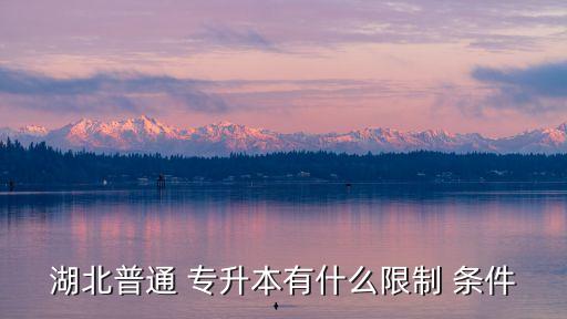 湖北省專(zhuān)升本的條件,武漢專(zhuān)升本報(bào)名條件有哪些?