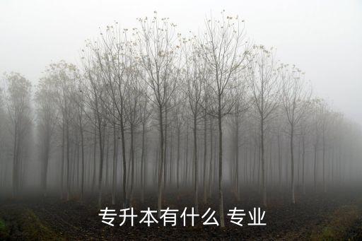  專(zhuān)升本有什么 專(zhuān)業(yè)