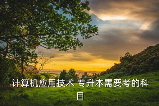  計算機(jī)應(yīng)用技術(shù) 專升本需要考的科目