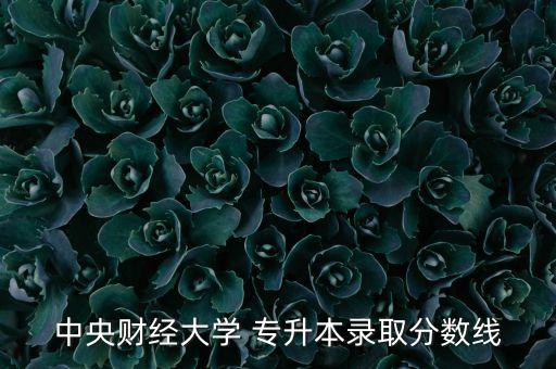 中央財經(jīng)大學(xué) 專升本錄取分?jǐn)?shù)線