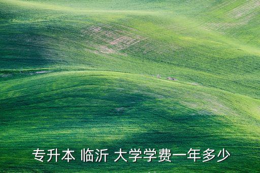 臨沂大學工業(yè)設計專升本,山東專升本藝術類專業(yè)包括表演與設計