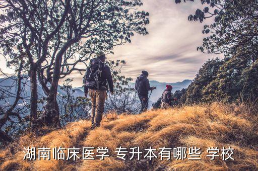 湖南省專升本對(duì)口學(xué)校,除了中南大學(xué)湖南四所大學(xué)都可以專升本