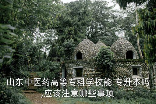 山東中醫(yī)藥高等專科學(xué)校能 專升本嗎,應(yīng)該注意哪些事項(xiàng)