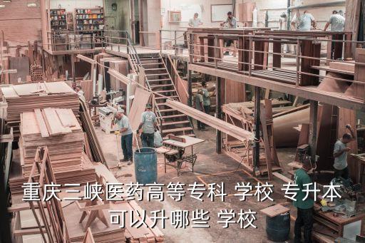 重慶三峽醫(yī)藥高等?？?學校 專升本可以升哪些 學校