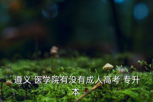  遵義 醫(yī)學院有沒有成人高考 專升本