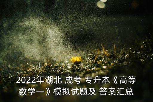 2022年湖北 成考 專升本《高等數(shù)學一》模擬試題及 答案匯總