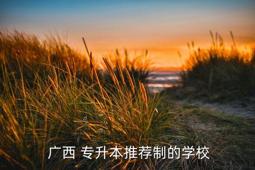 廣西有哪些專升本大學,廣西專升本哪些學?？梢詧竺?