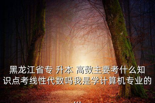 黑龍江省專 升本 高數(shù)主要考什么知識(shí)點(diǎn)考線性代數(shù)嗎我是學(xué)計(jì)算機(jī)專業(yè)的...